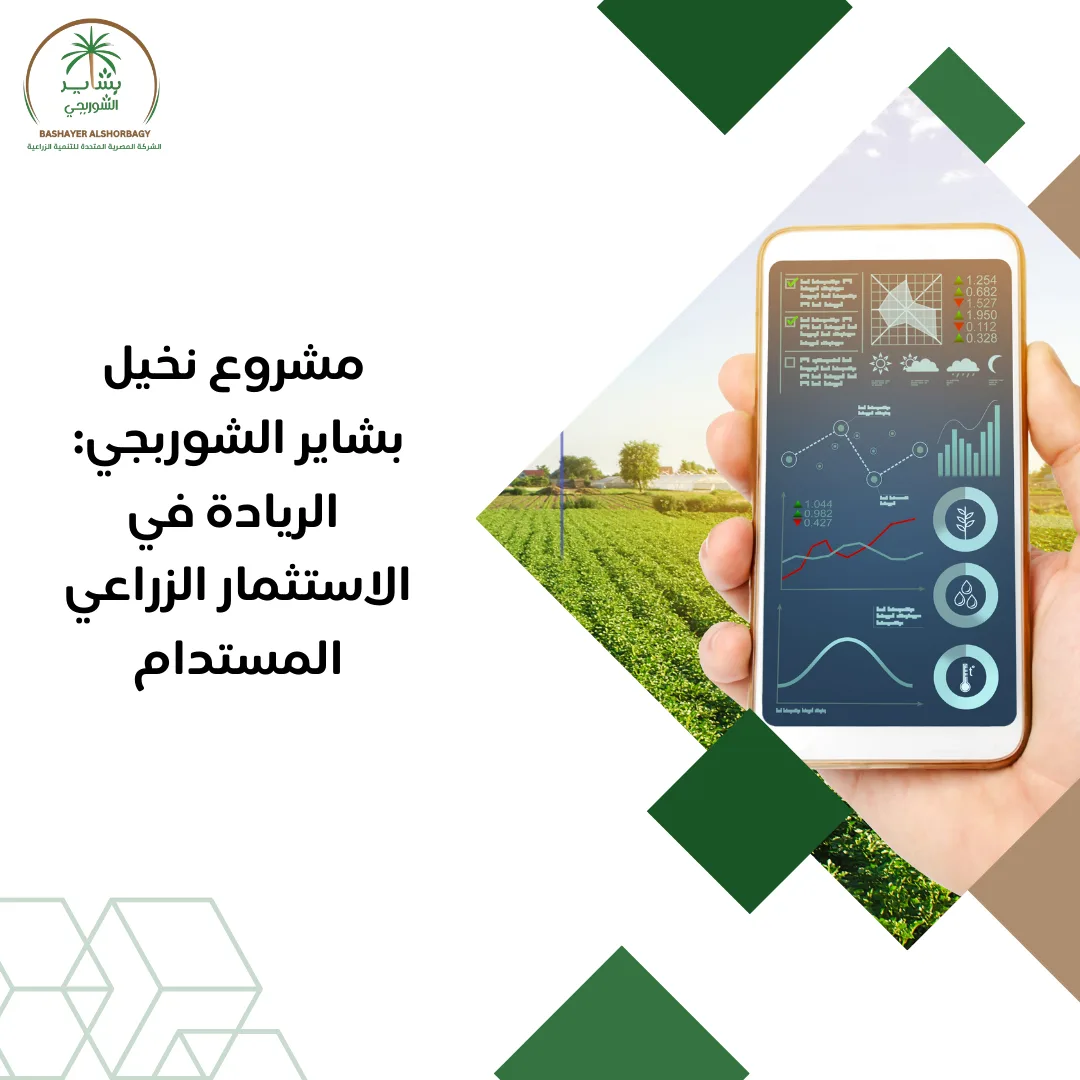 مشروع نخيل بشاير الشوربجي