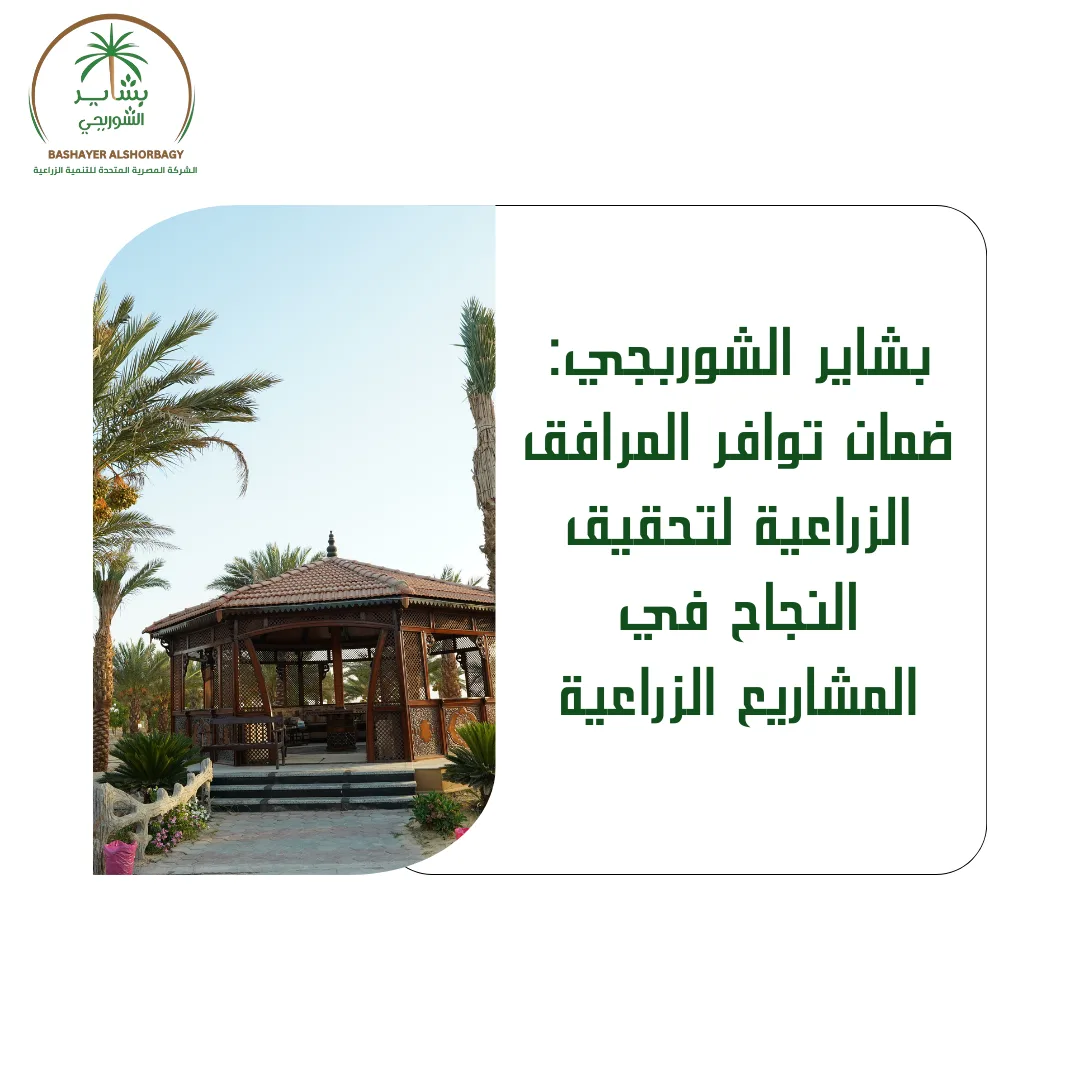 خدمات متكاملة لتحقيق النجاح مع بشاير الشوربجي