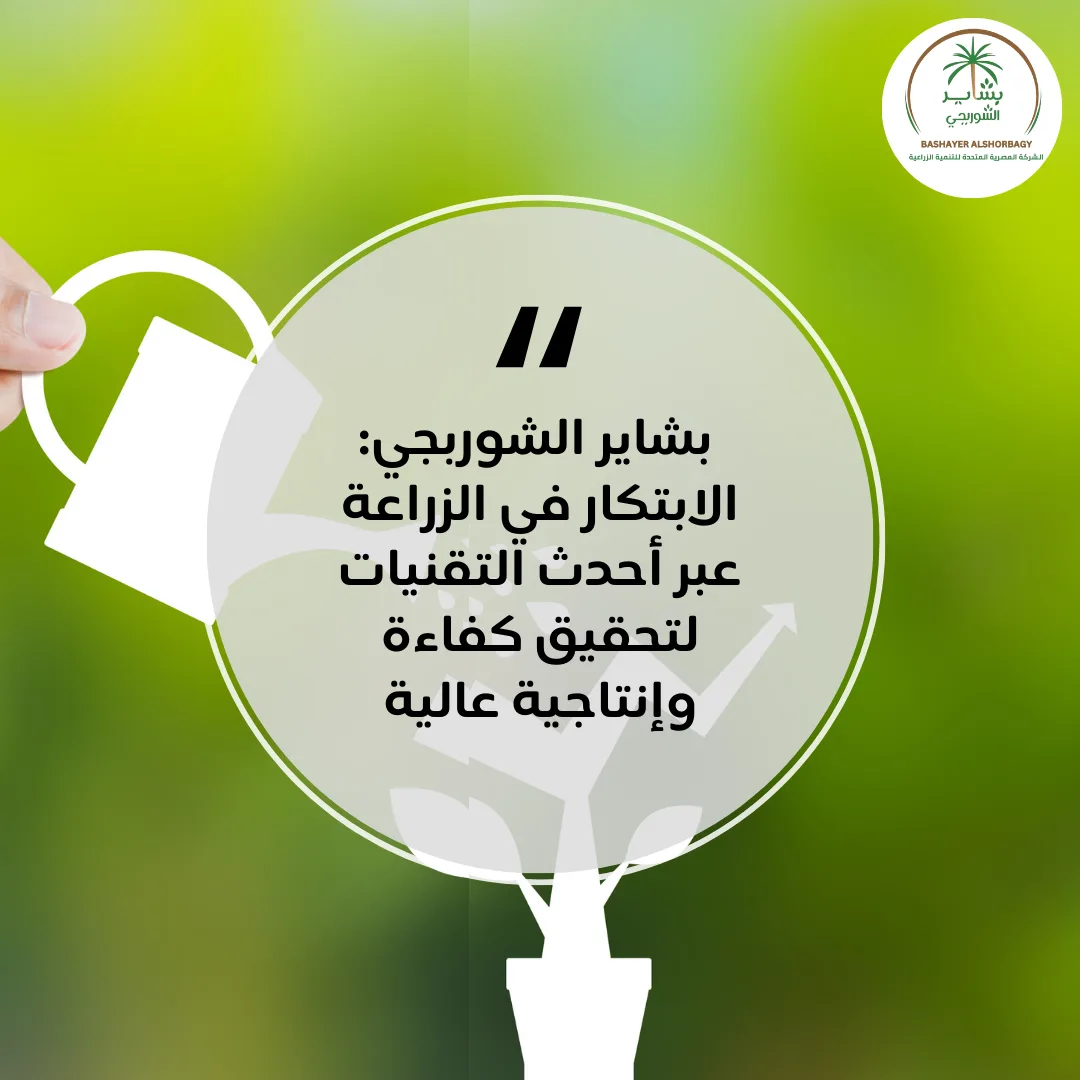 الابتكار في الزراعة عبر أحدث التقنيات لتحقيق كفاءة وإنتاجية عالية