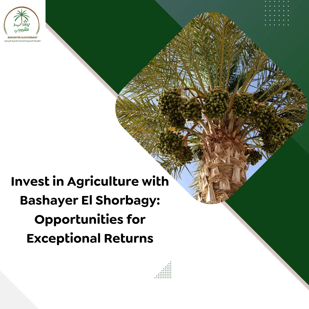 Invest in Agriculture with Bashayer El Shorbagy
