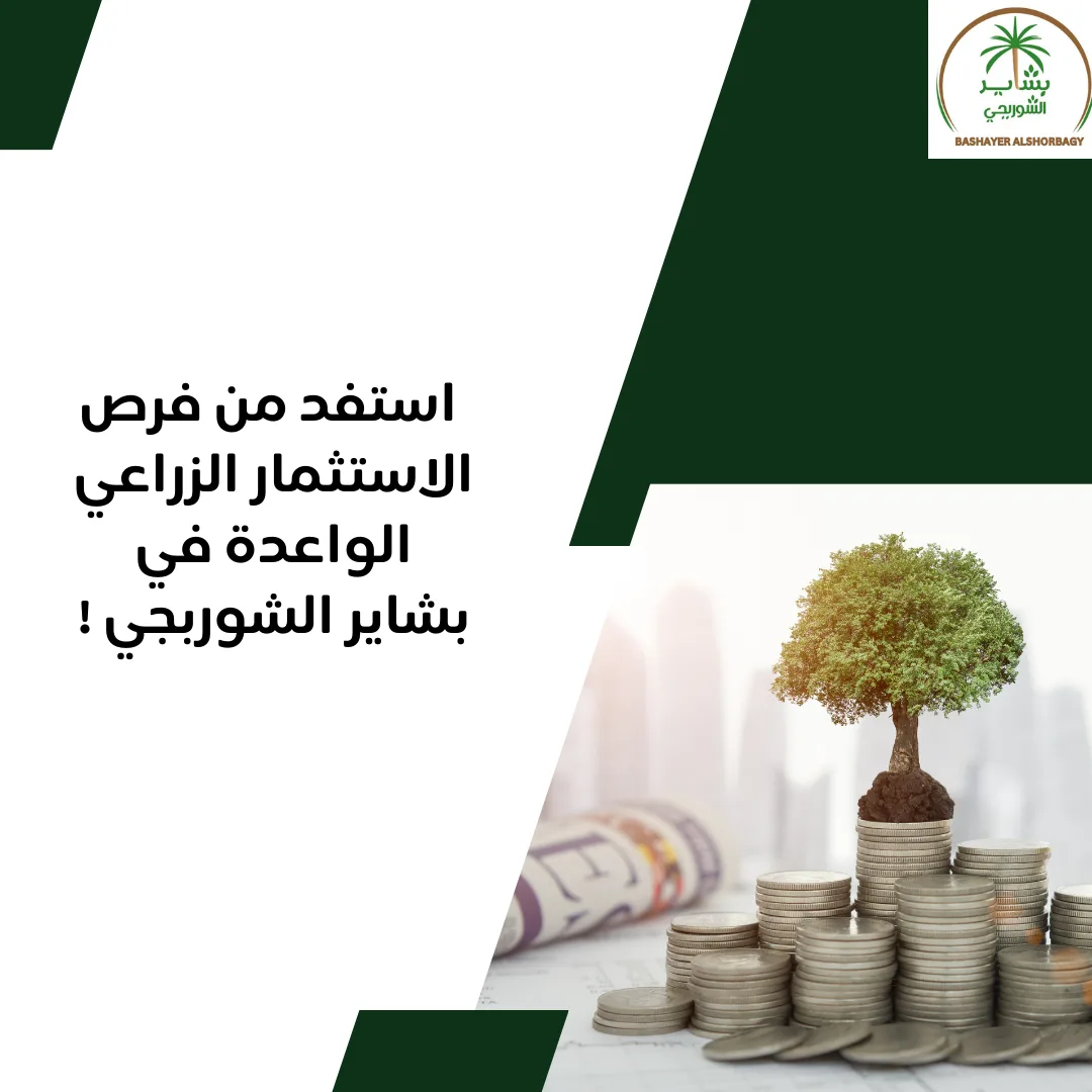 استفد من فرص الاستثمار الزراعي الواعدة في بشاير الشوربجي !