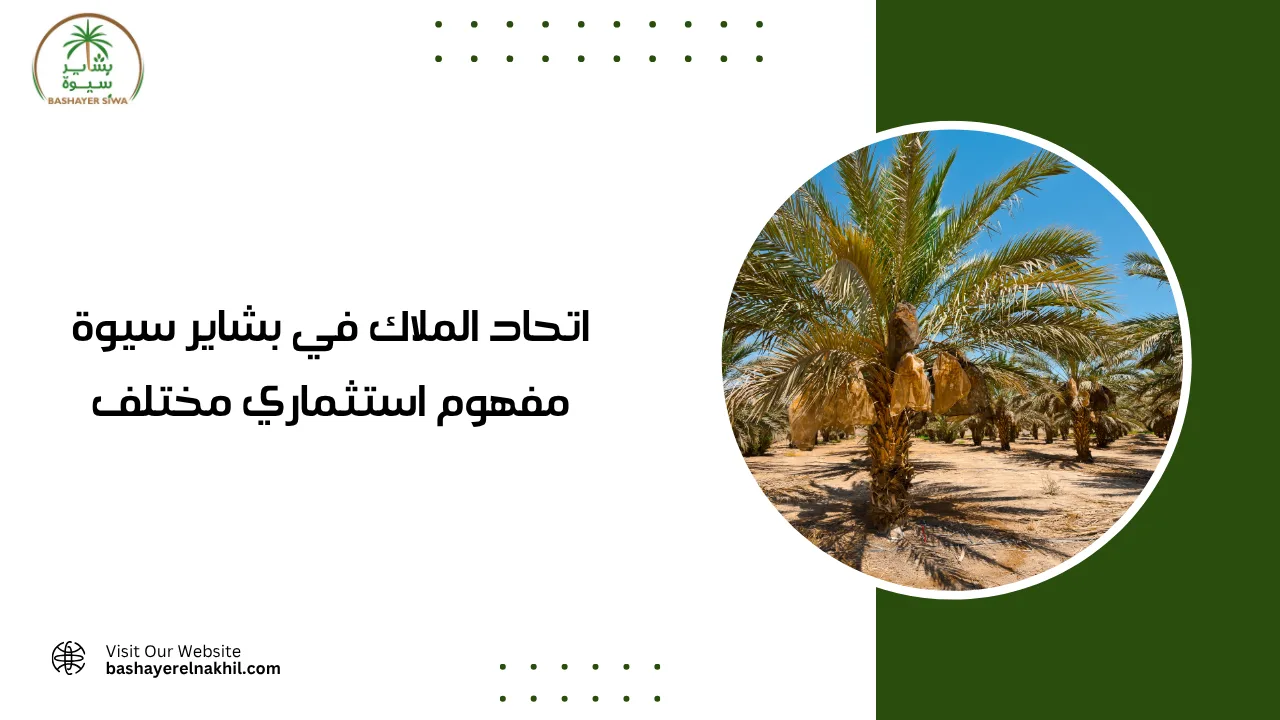 اتحاد الملاك في بشاير سيوة.. مفهوم استثماري مختلف