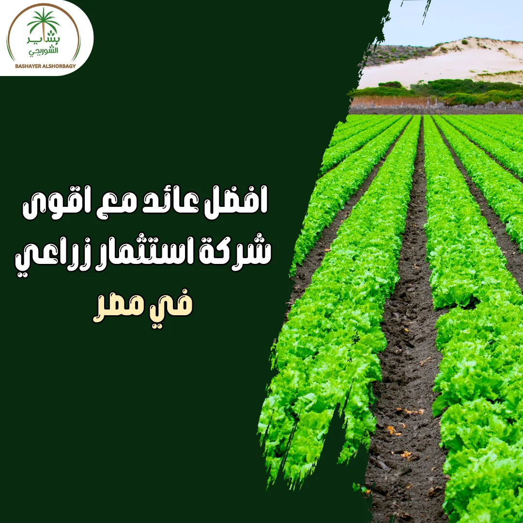 افضل عائد مع اقوى شركة استثمار زراعي في مصر