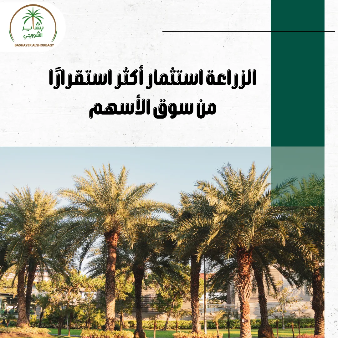 الزراعة: استثمار أكثر استقرارًا من سوق الأسهم