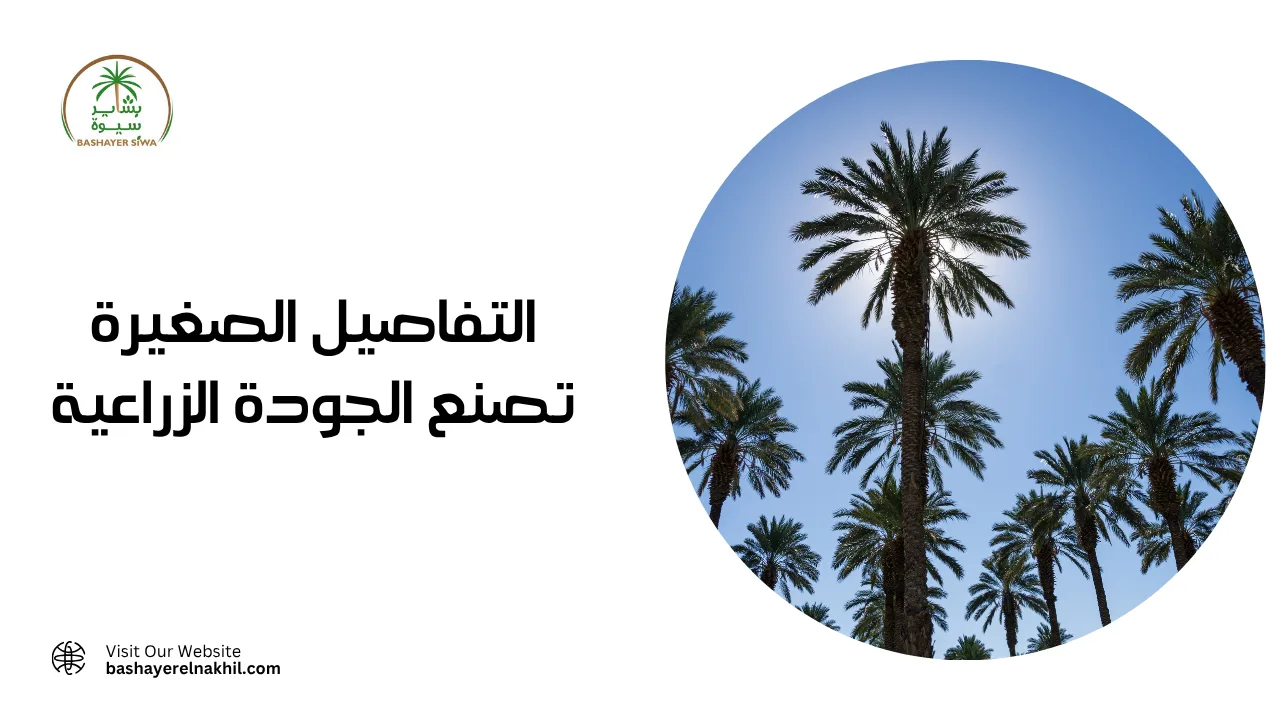 التفاصيل الصغيرة تصنع الجودة الزراعية