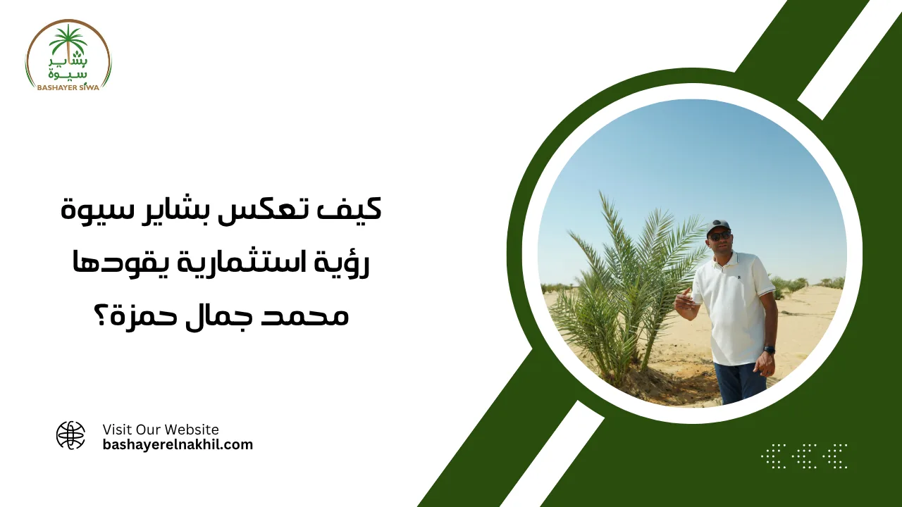 كيف تعكس بشاير سيوة رؤية استثمارية يقودها محمد جمال حمزة؟