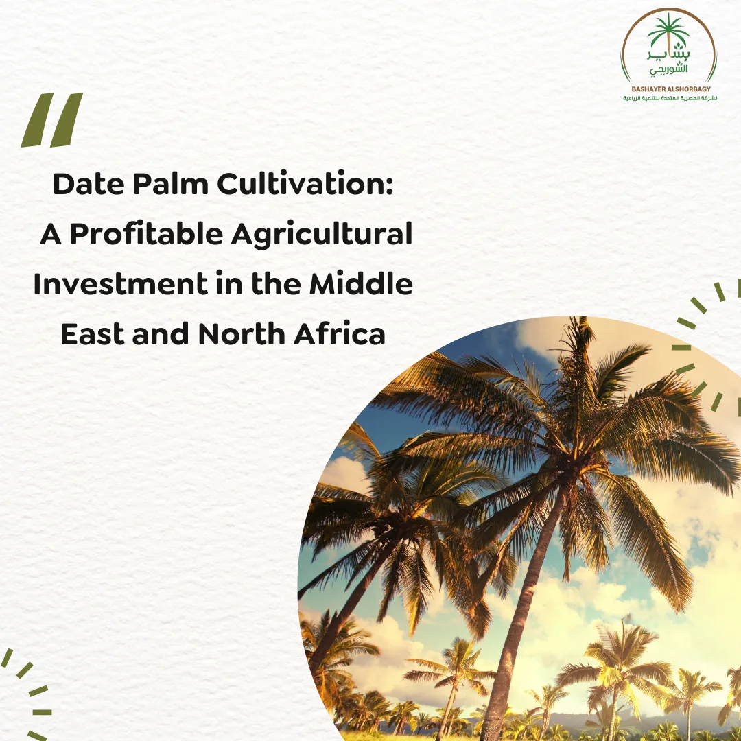 Date Palm Cultivation: A Profitable Agricultural Investment in the Middle East and North Africa