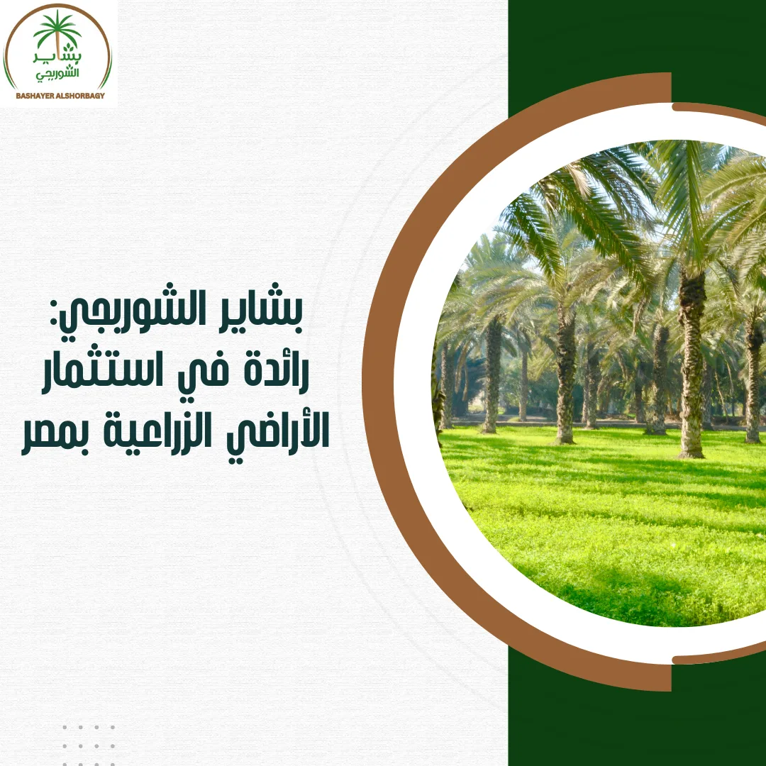 بشاير الشوربجي: رائدة في استثمار الأراضي الزراعية بمصر