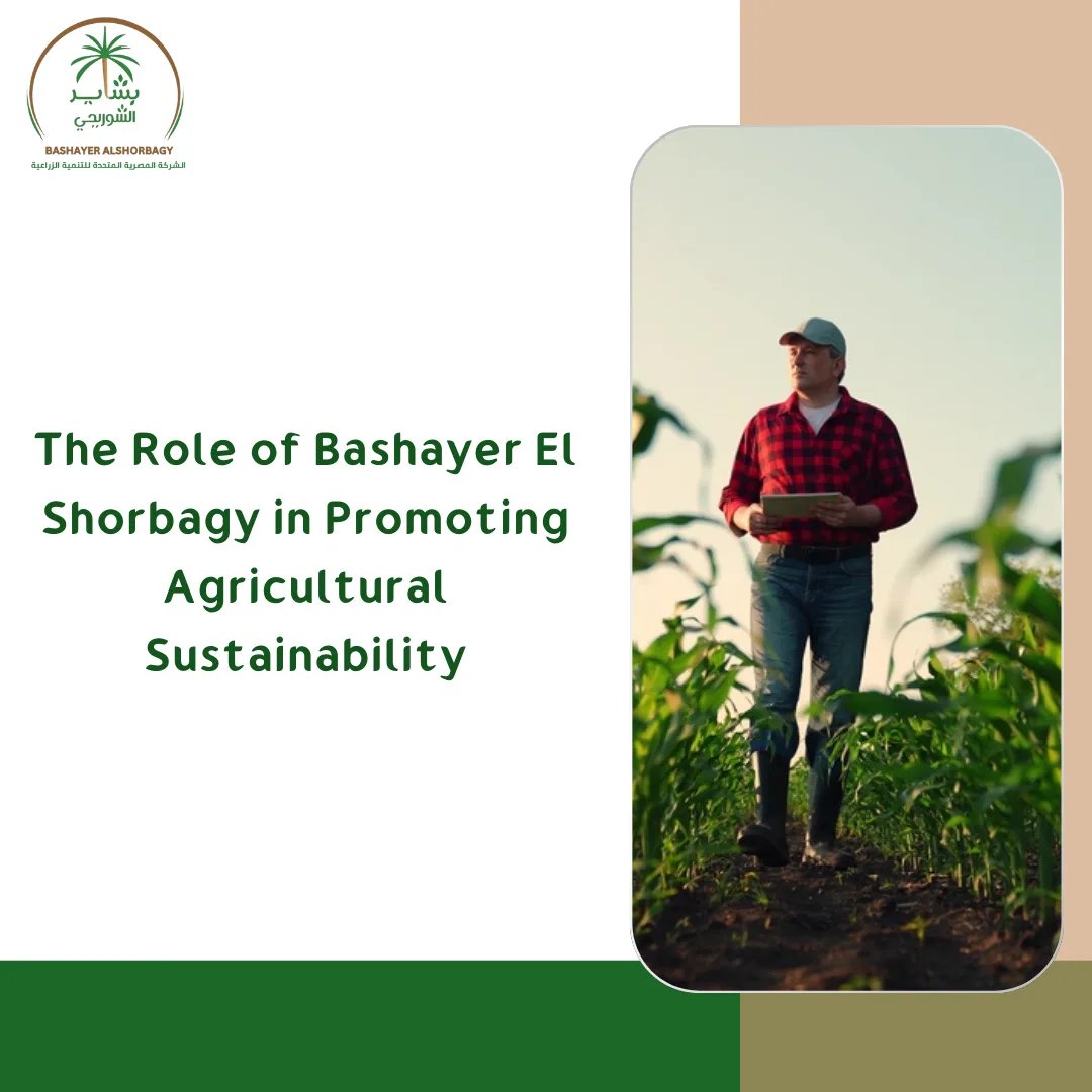 The Role of Bashayer El Shorbagy in Promoting Agricultural Sustainability