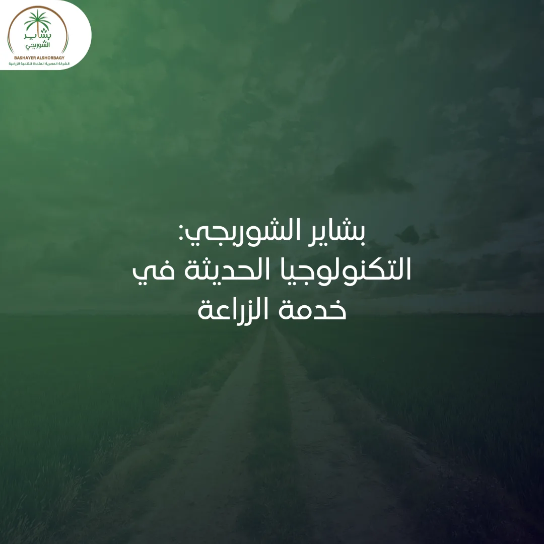 بشاير الشوربجي: التكنولوجيا الحديثة في خدمة الزراعة