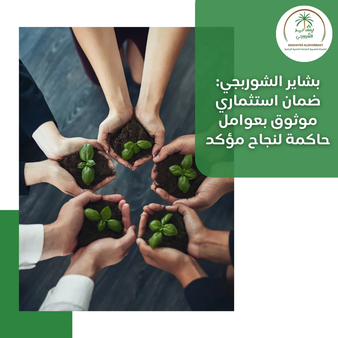 بشاير الشوربجي: ضمان استثماري موثوق بعوامل حاكمة لنجاح مؤكد