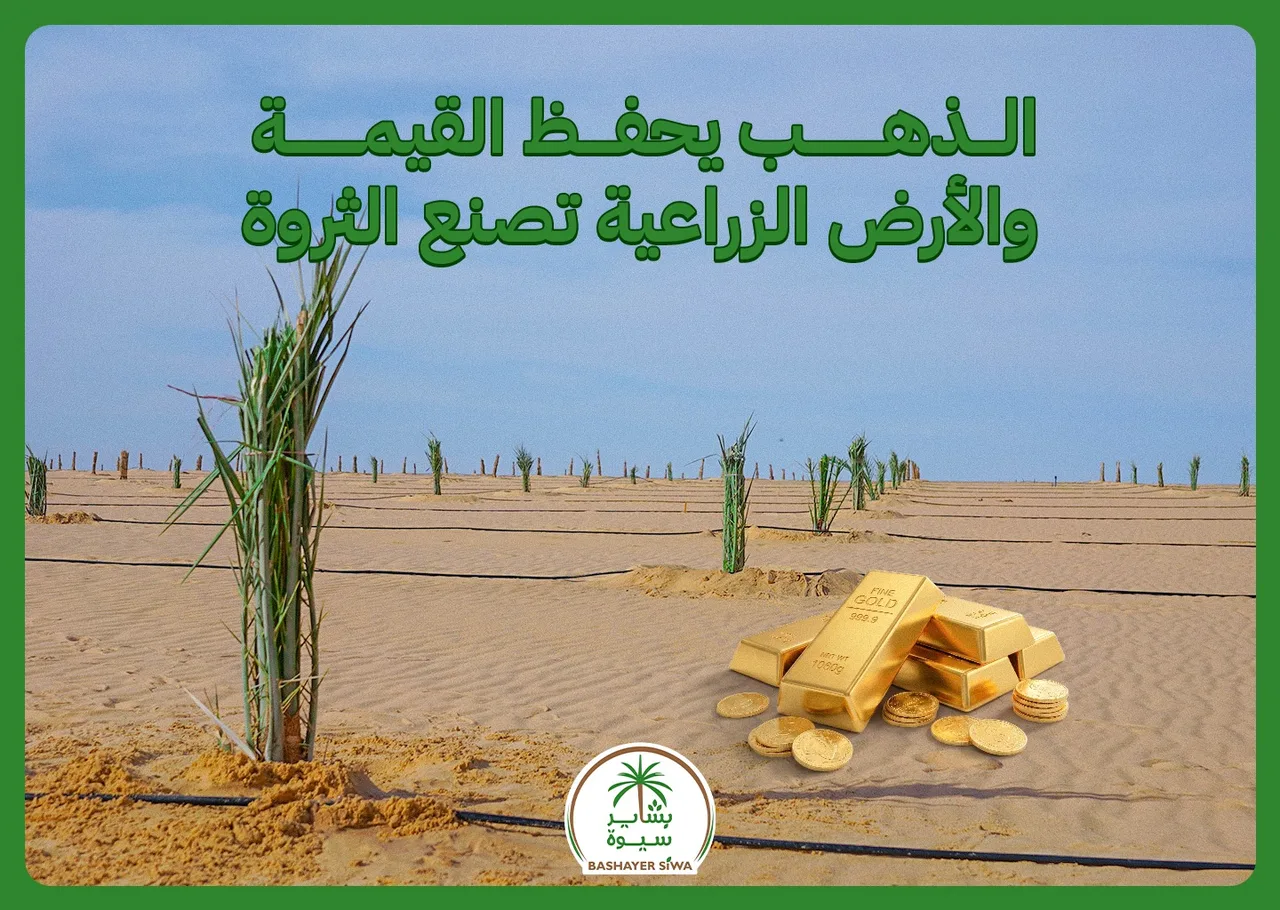 الذهب يحفظ القيمة والأرض الزراعية تصنع الثروة