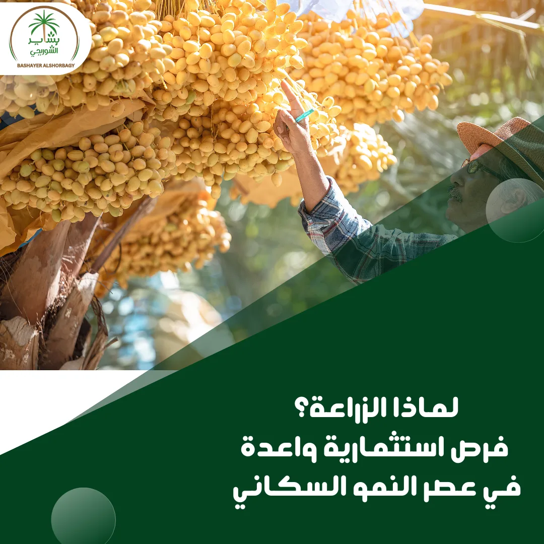 لماذا الزراعة؟ فرص استثمارية واعدة في عصر النمو السكاني