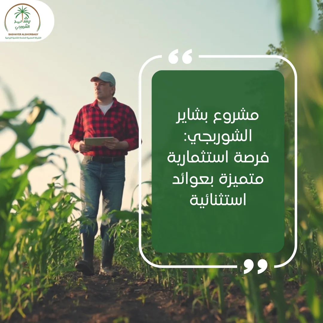 مشروع بشاير الشوربجي: فرصة استثمارية متميزة بعوائد استثنائية