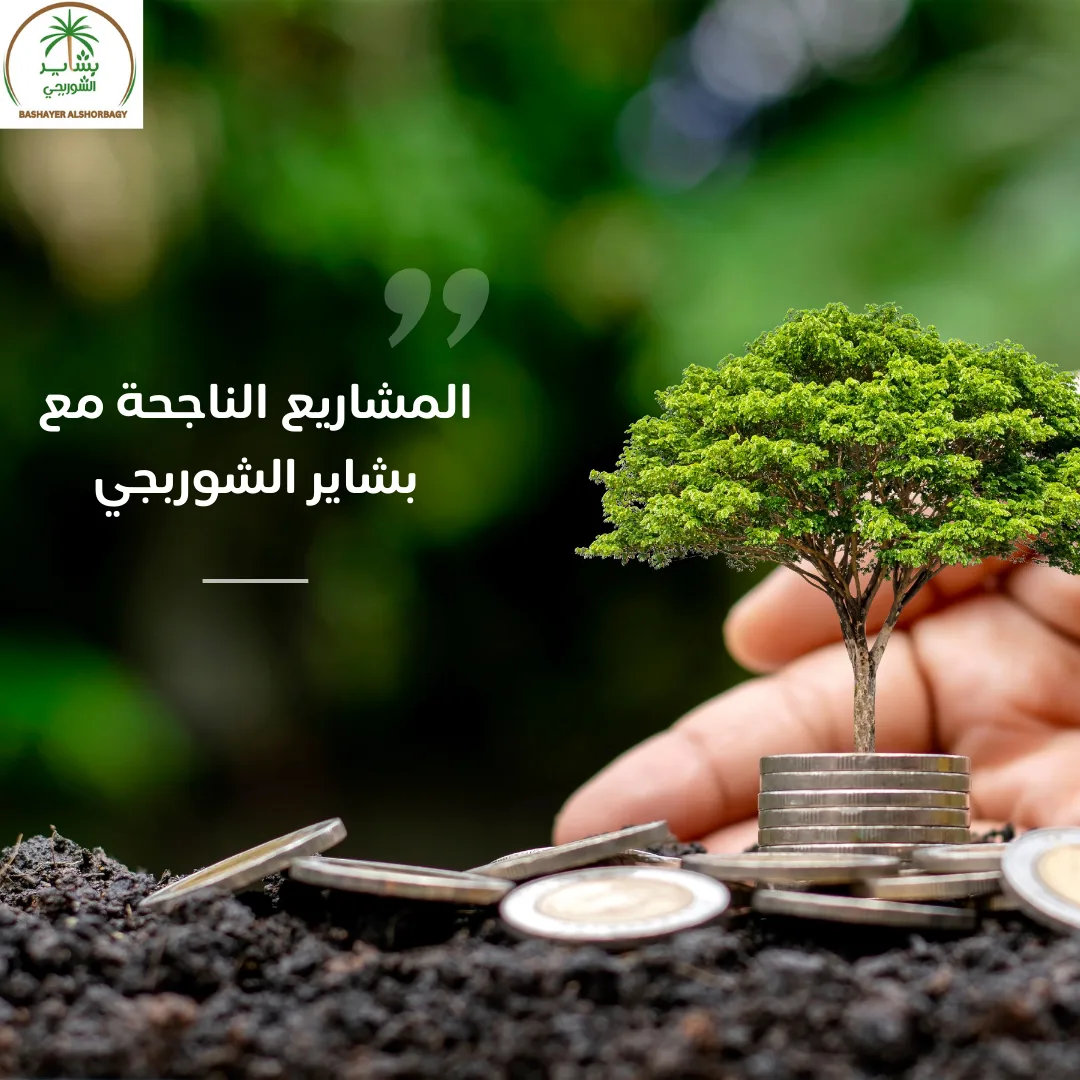المشاريع الناجحة مع بشاير الشوربجي