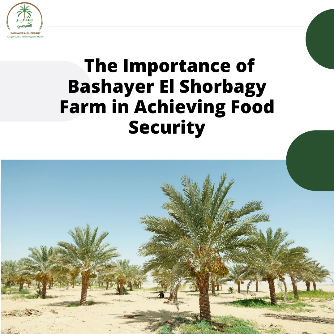The Importance of Bashayer El Shorbagy Farm in Achieving Food Security