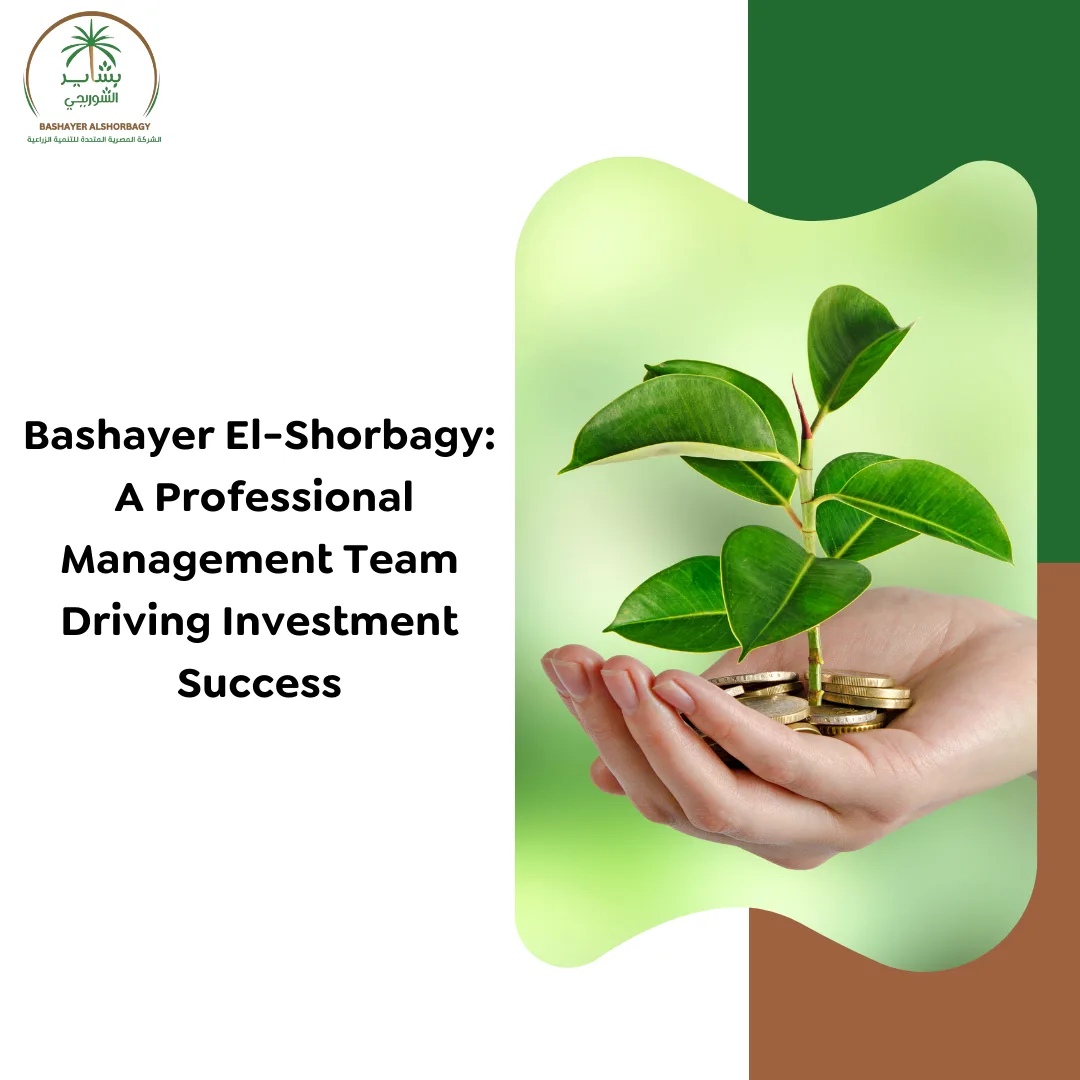 A Professional Management Team Driving Investment Success