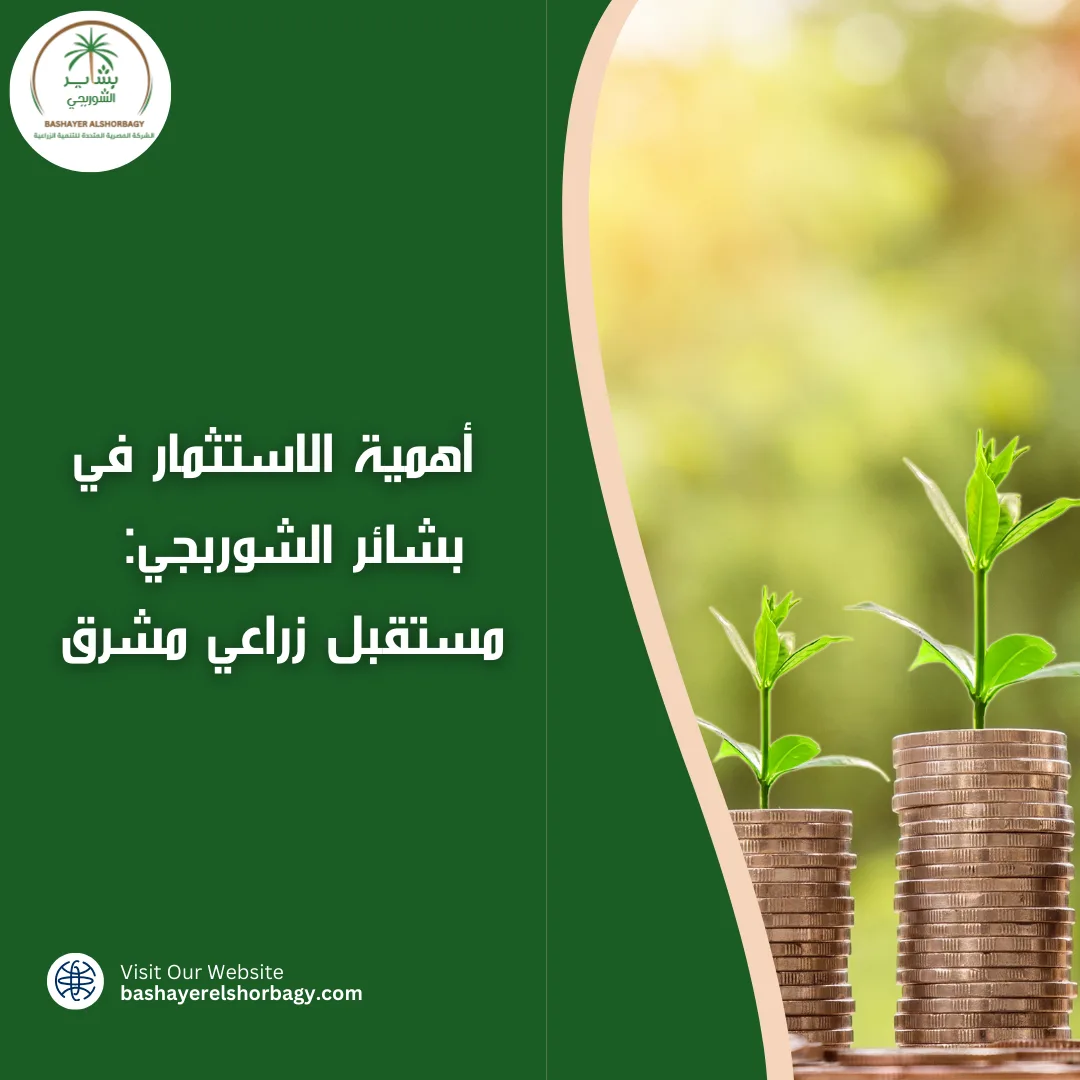أهمية الاستثمار في بشائر الشوربجي: مستقبل زراعي مشرق
