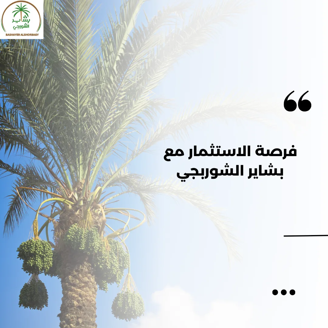 فرصة الاستثمار مع بشاير الشوربجي