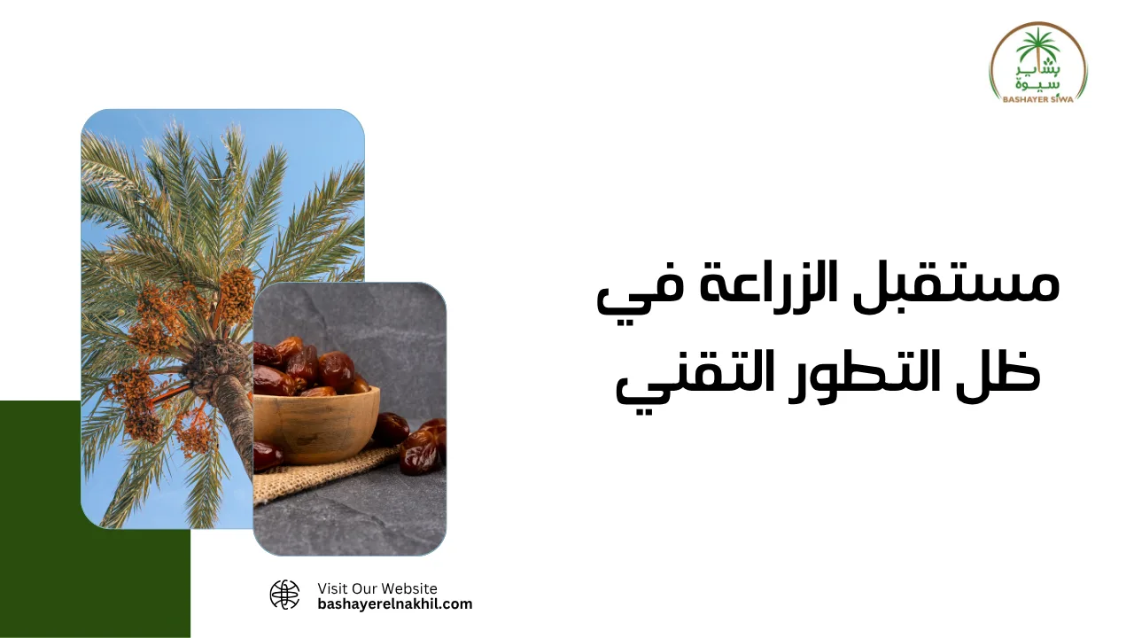 مستقبل الزراعة في ظل التطور التقني