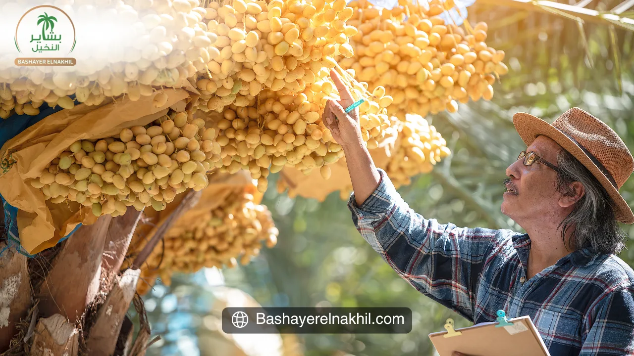 Bashayer El Nakhil: Bridging Innovation and Sustainability in Agriculture
