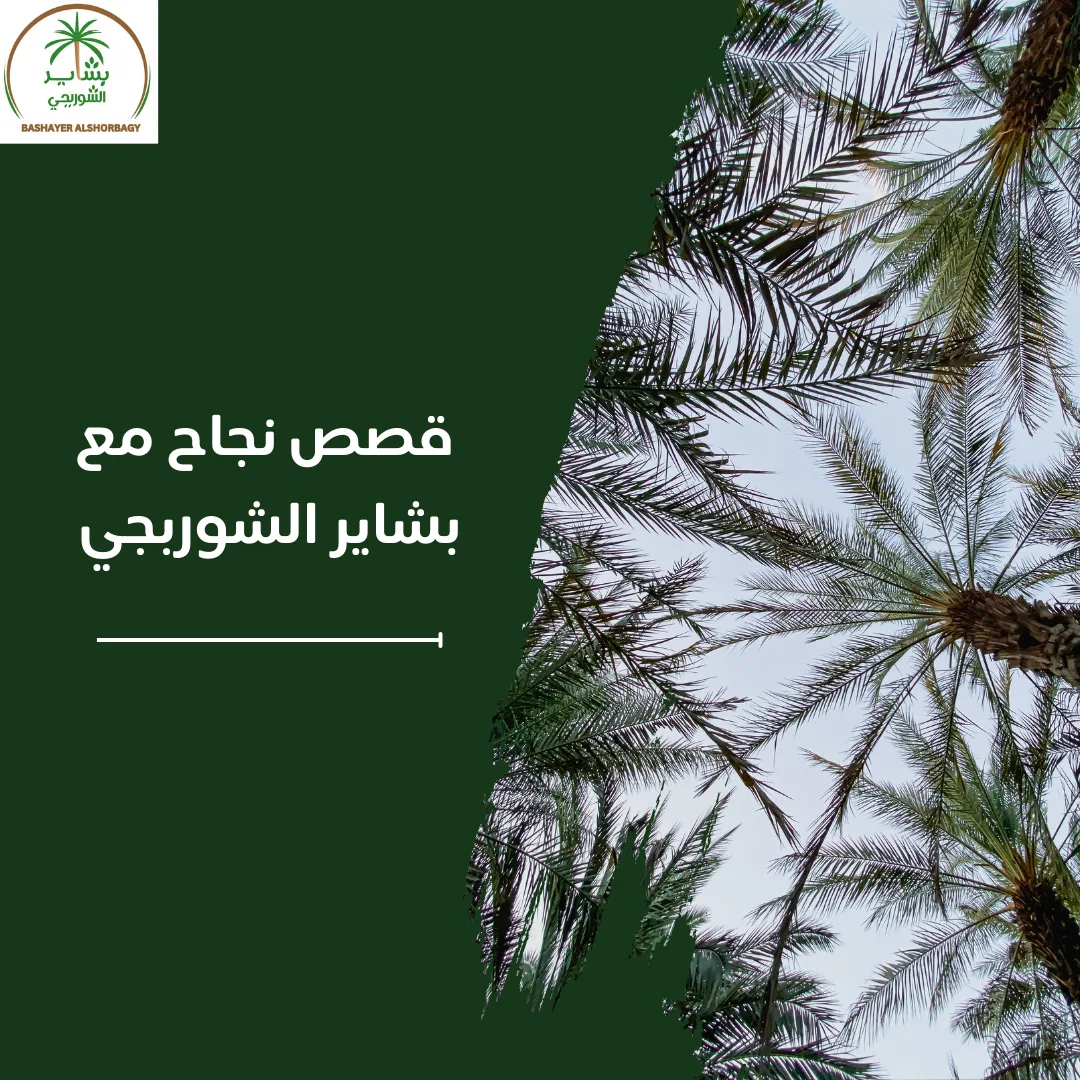 قصص نجاح مع بشاير الشوربجي