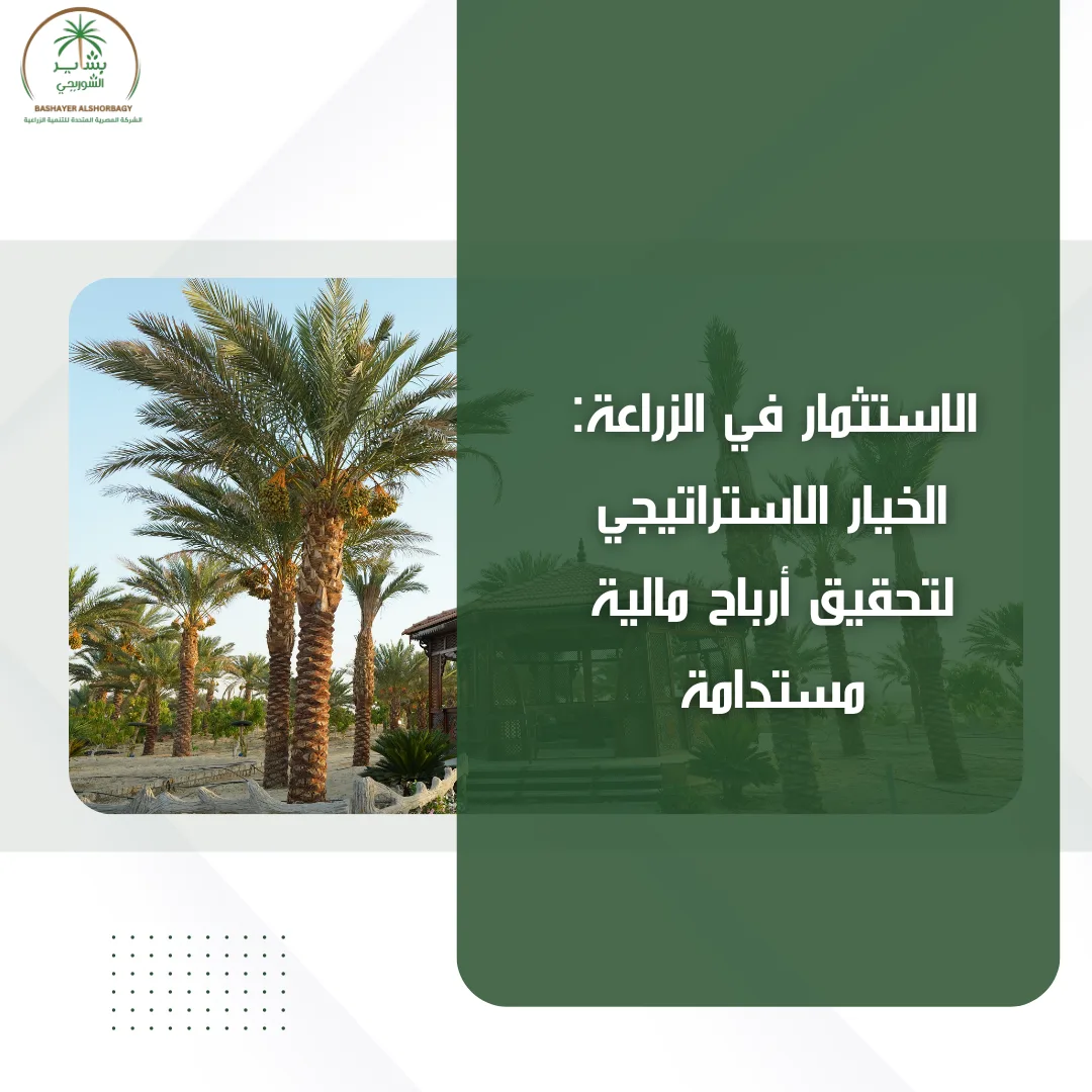 الاستثمار في الزراعة: الخيار الاستراتيجي لتحقيق أرباح مالية مستدامة